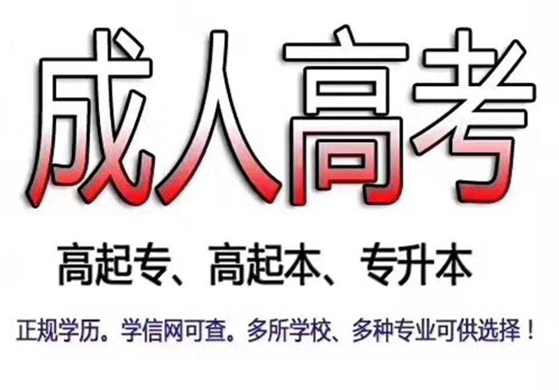 广州自考辅导：助力学习者跨越知识壁垒