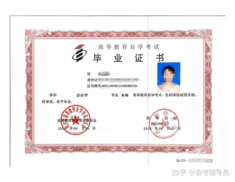 自考本科辅导:你的求学之路指路明灯